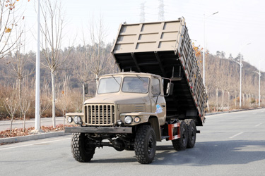 170馬力東風(fēng)6×6倉(cāng)柵自卸_六驅(qū)2.5噸越野專用翻斗_全驅(qū)定制三軸10噸液壓舉升車