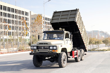 東風(fēng)170馬力6×6倉(cāng)柵自卸_六驅(qū)2.5噸越野專用翻斗_全驅(qū)定制三軸10噸液壓舉升車